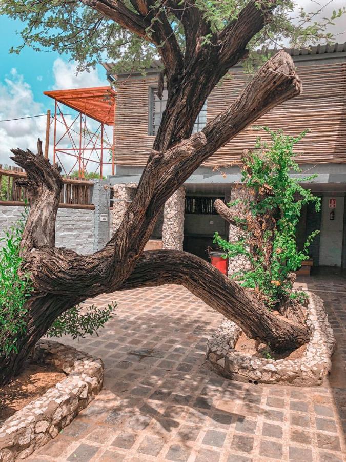 Nkisi Guesthouse Kang المظهر الخارجي الصورة